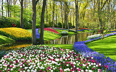 An abundance of brightly coloured flowers in Keukenhof Gardens